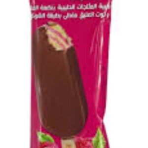 ايسكريم جلايس توت مغطى بالشوكولاته