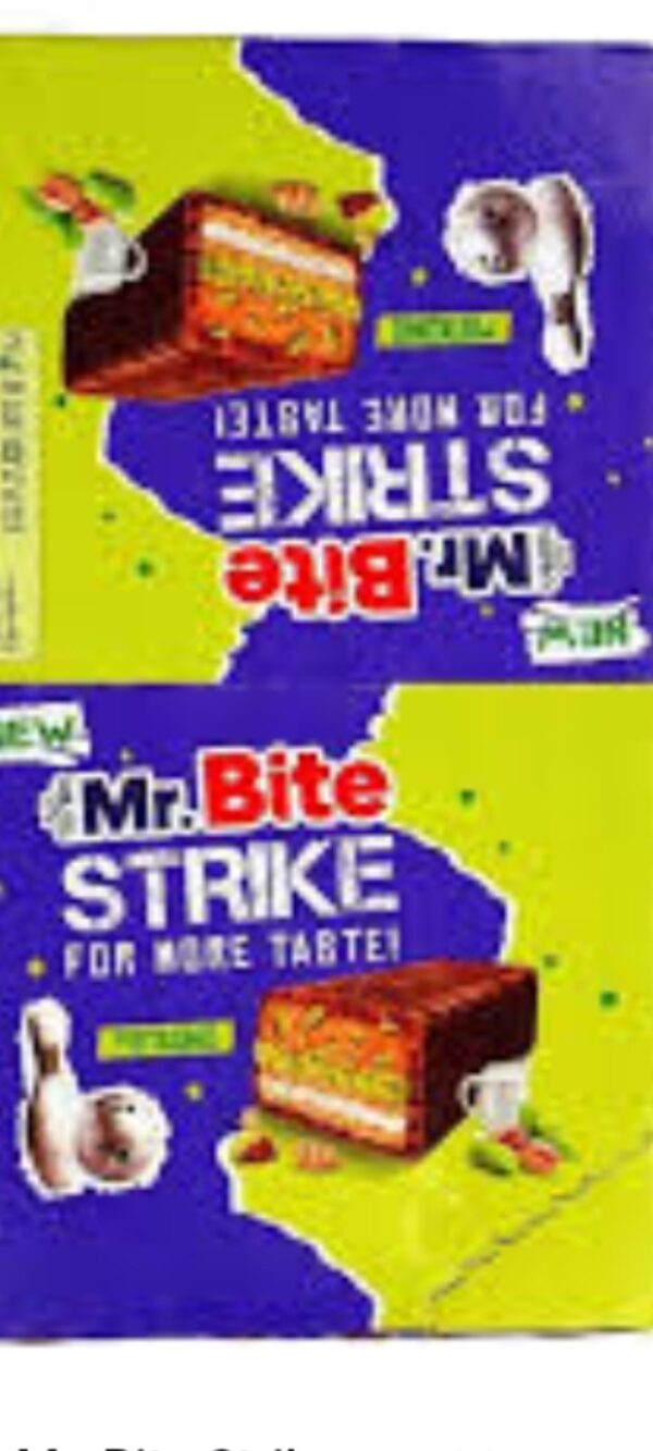 كرتون مستر بايت 24 حبة