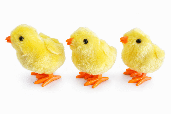 كتكوت اصفر صغير يقفز