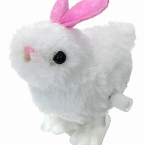 2026/03/1000264037.jpg أرنب لطيف